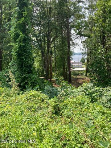 2 Morey Park Road # l1, Schodack, NY 12123