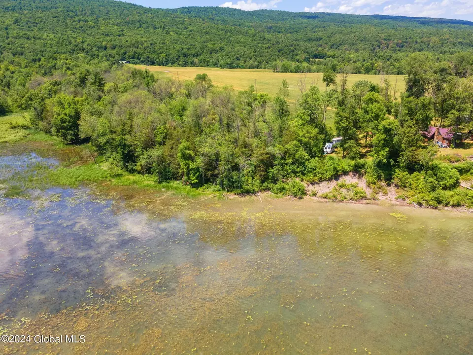 View/Area - 88 Babcock Rd, Clemons, NY 12819 photo 5 of 10