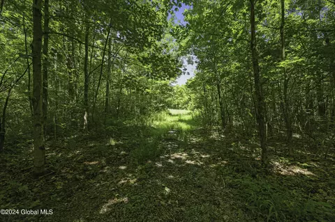 L9 Winegard Road, Seward, NY 12149