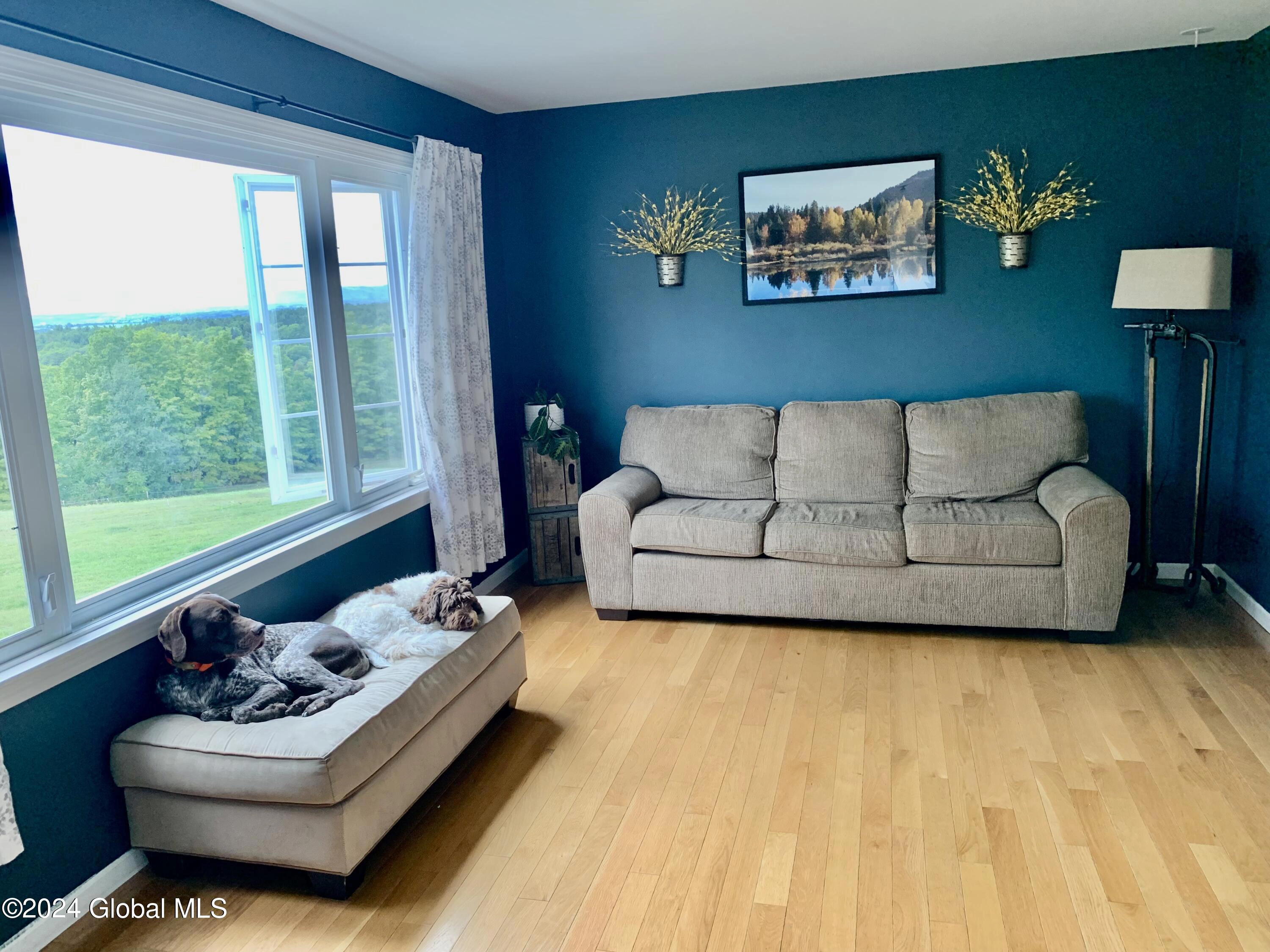 Living - 107 County Route 44, Argyle, NY 12809 photo 1 of 2