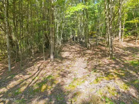 708 Smokey Ave, Schenevus, NY 12155 photo 16