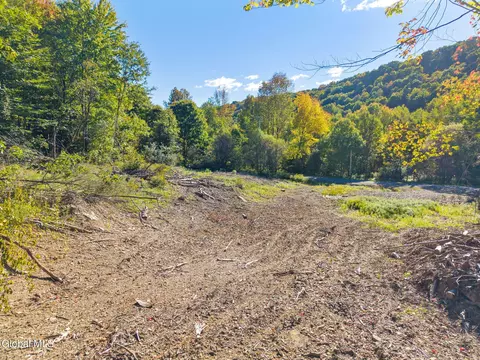 708 Smokey Ave, Schenevus, NY 12155 photo 17