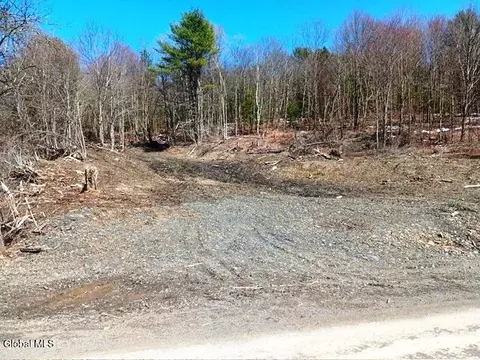708 Smokey Ave, Schenevus, NY 12155 photo 3