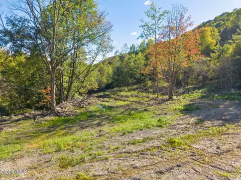 708 Smokey Ave, Schenevus, NY 12155 photo 33