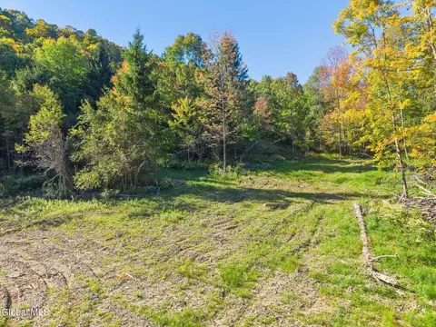708 Smokey Ave, Schenevus, NY 12155 photo 32