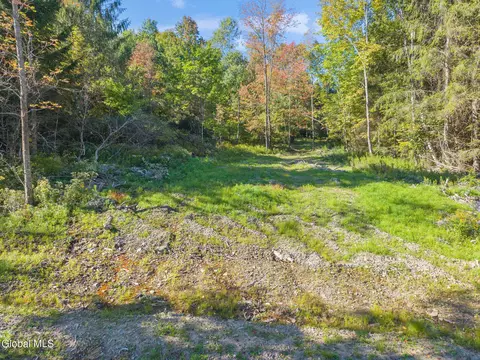 708 Smokey Ave, Schenevus, NY 12155 photo 35