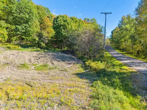 708 Smokey Ave, Schenevus, NY 12155 photo 15
