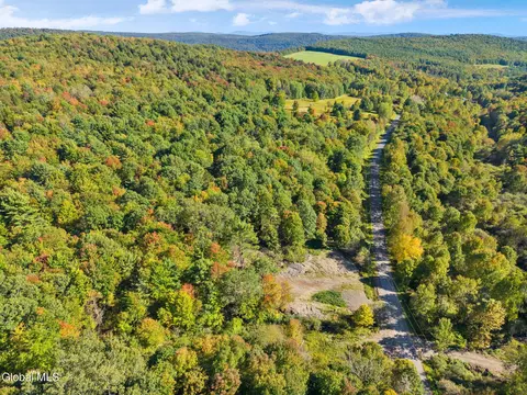 708 Smokey Ave, Schenevus, NY 12155 photo 25