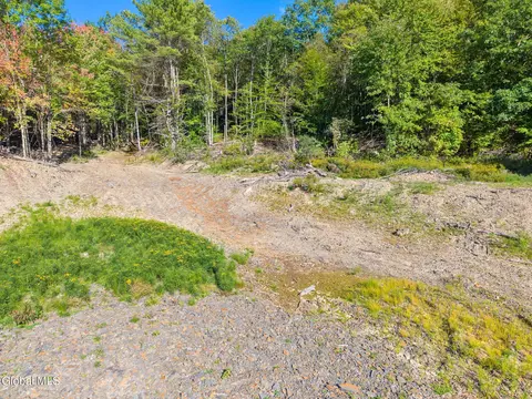 708 Smokey Ave, Schenevus, NY 12155 photo 14
