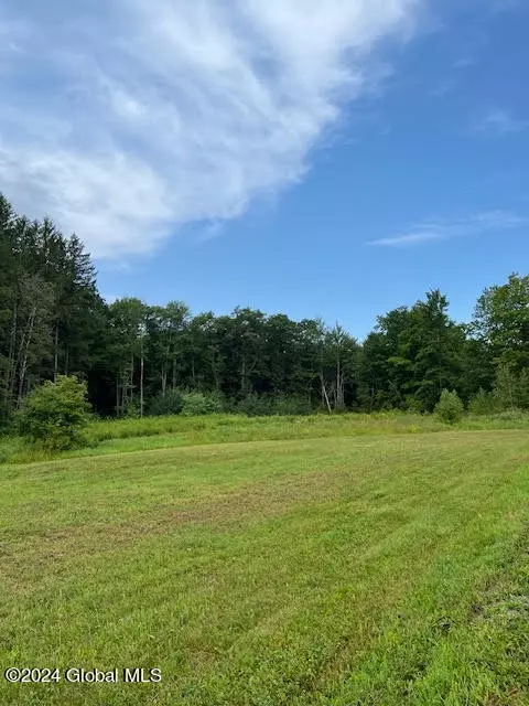 547 Delevan Rd, Delanson, NY 12053