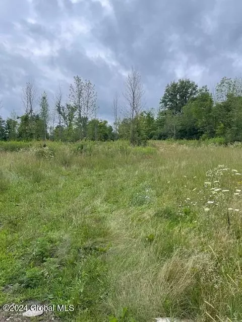 1302 Carlisle Rd, Sprakers, NY 12166 photo 4