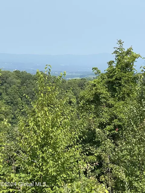 View/Area - 579 Coot Hill Rd, Argyle, NY 12809 photo 1 of 5