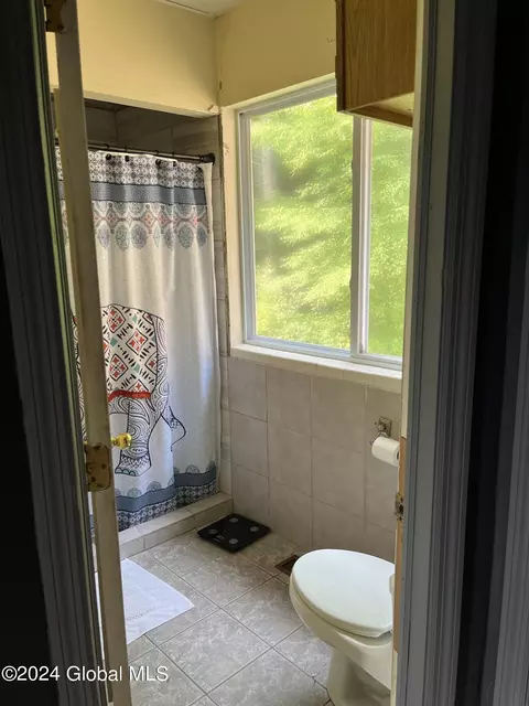 Bath - 376 Pine Hill Rd, Salem, NY 12865 photo 3 of 6