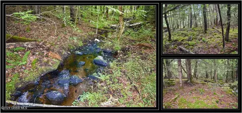 1 Woodridge Road # l72, Brant Lake, NY 12815