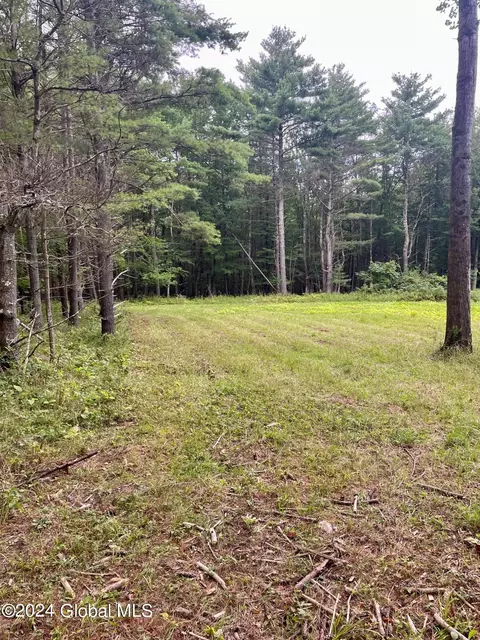 L3 Posson Hill Road, Middleburgh, NY 12122