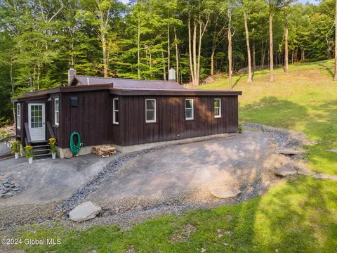 Exterior - 1136 Enid Rd, Summit, NY 12175 photo 14 of 17