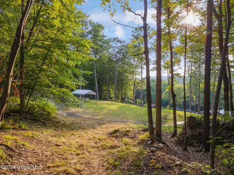 Exterior - 1136 Enid Rd, Summit, NY 12175 photo 12 of 17
