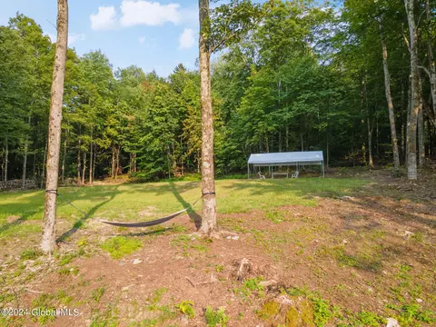 Exterior - 1136 Enid Rd, Summit, NY 12175 photo 9 of 17