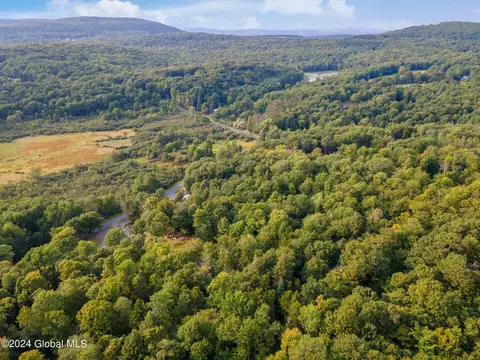 View/Area - 1136 Enid Rd, Summit, NY 12175 photo 1 of 3