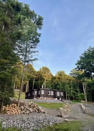Other - 1136 Enid Rd, Summit, NY 12175 photo 13 of 13