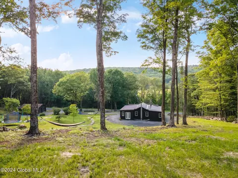 1136 Enid Rd, Summit, NY 12175