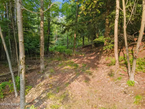 Other - 1136 Enid Rd, Summit, NY 12175 photo 7 of 13