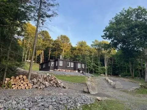 Other - 1136 Enid Rd, Summit, NY 12175 photo 12 of 13