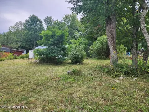 224 Spring Rd, Delanson, NY 12053 photo 7