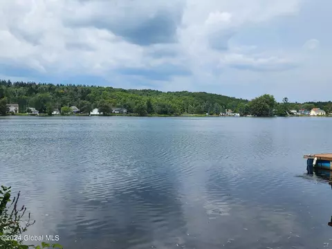 224 Spring Rd, Delanson, NY 12053 photo 19