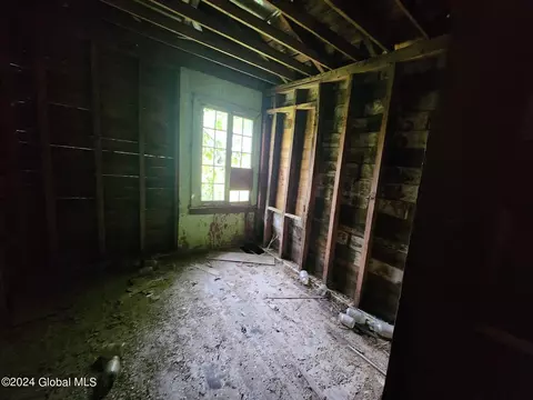 224 Spring Rd, Delanson, NY 12053 photo 13
