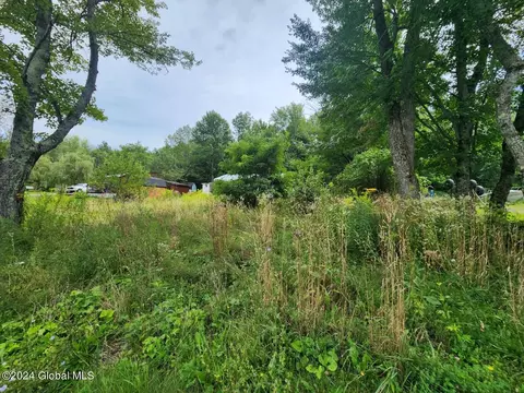 224 Spring Rd, Delanson, NY 12053 photo 15