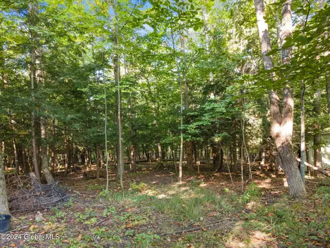309 Crommie Rd, Cobleskill, NY 12043 photo 49