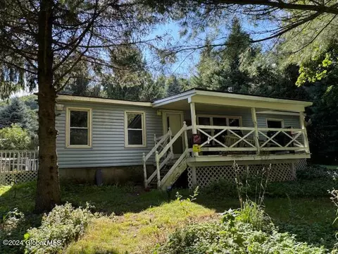 120 Beards Hollow Rd, Richmondville, NY 12149