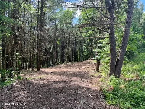 L67 Old Ghost Road #6, Canaan, NY 12125
