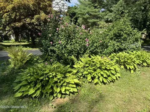 147 Dumbarton Dr, Delmar, NY 12054 photo 23