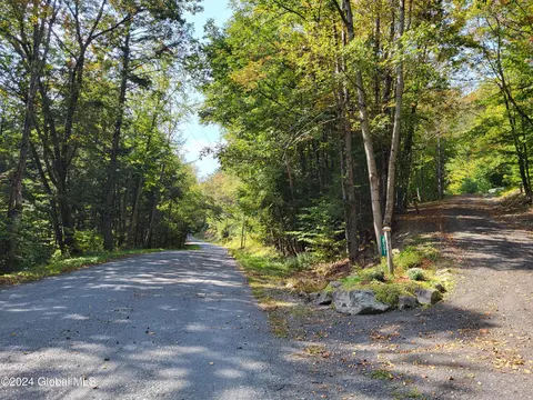 837 Black River Rd, Petersburgh, NY 12138 photo 54