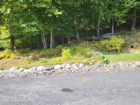 837 Black River Rd, Petersburgh, NY 12138 photo 49
