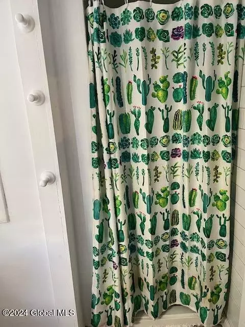 Bath - 113 Walnut St, Schenectady, NY 12308 photo 2 of 2
