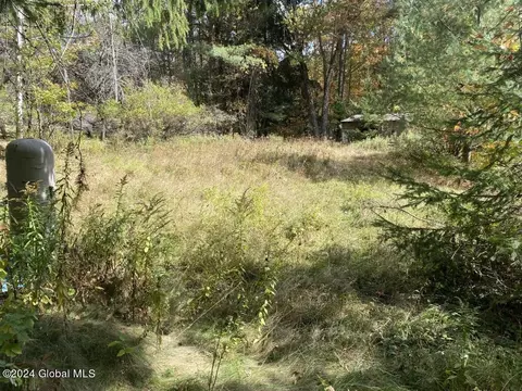 471 Lower Rd, Middleburgh, NY 12122 photo 47