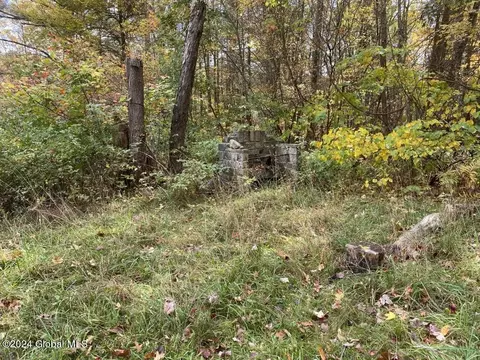 471 Lower Rd, Middleburgh, NY 12122 photo 38