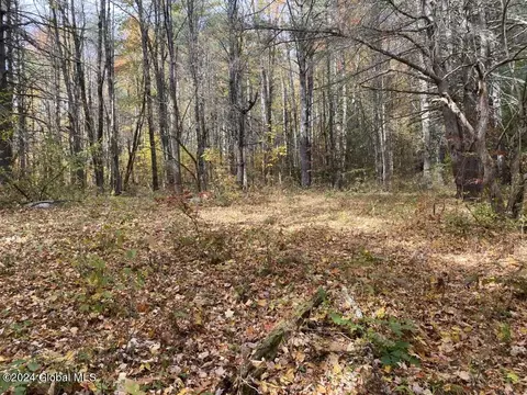 471 Lower Rd, Middleburgh, NY 12122 photo 41