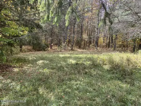 471 Lower Rd, Middleburgh, NY 12122 photo 48