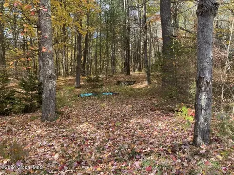 471 Lower Rd, Middleburgh, NY 12122 photo 39