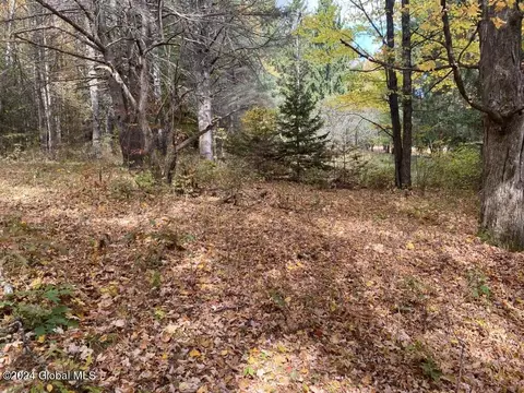 471 Lower Rd, Middleburgh, NY 12122 photo 40