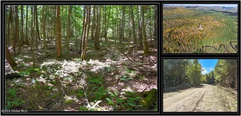 72 Carriage Knoll Rd, Chestertown, NY 12817