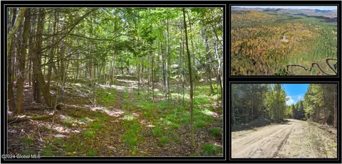 102 Carriage Knoll Rd, Chestertown, NY 12817