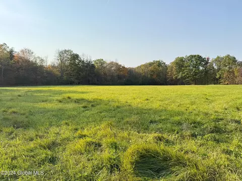 41 Millers Corners Road # l3, Delanson, NY 12053