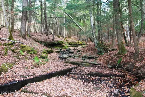 L2 Lawton Hollow Road, Berne, NY 12023