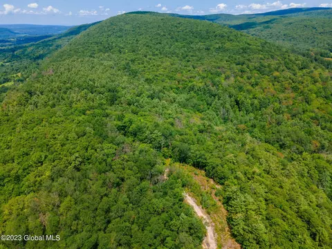 L16 Mt Path, Middleburgh, NY 12122 photo 21