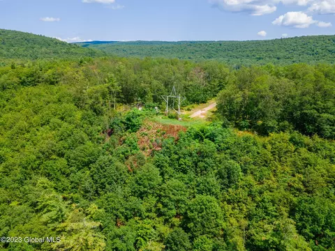 L16 Mt Path, Middleburgh, NY 12122 photo 22